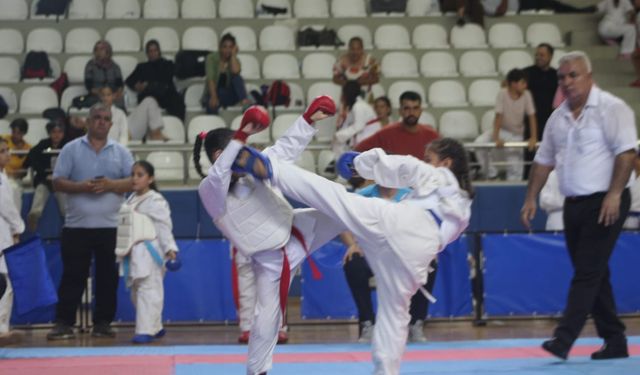 Türkiye İller Arası Karate Şampiyonası İskenderun’da Yapıldı