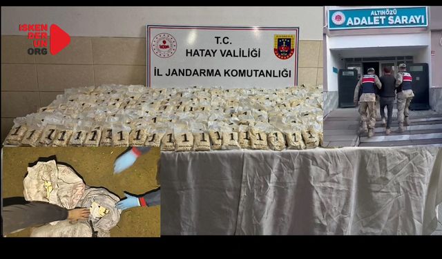 Zeytin Bahçesinde Uyuşturucu