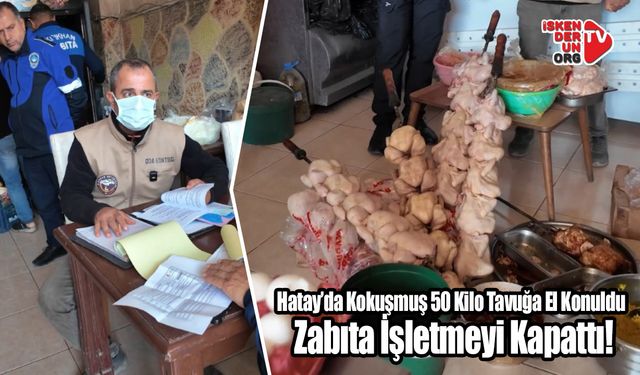 Hatay’da Kokuşmuş 50 Kilo Tavuğa El Konuldu