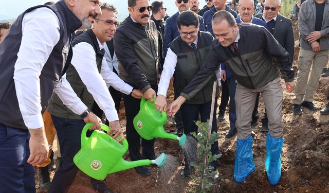 Deprem Şehitlerine 5 bin fidan