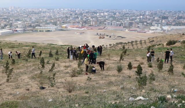 İSTE'li Yüksekokulu Yerleşkesinde fidan dikti…