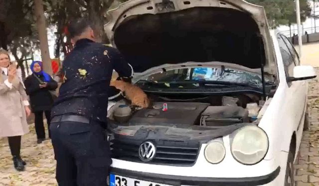 Otomobilin Motor Bölümündeki Kedi Kurtarıldı!