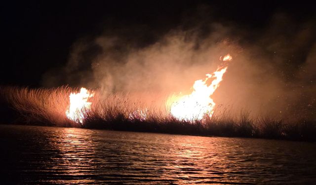 Kuş Cennetinde Yangın