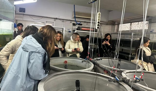 Türk Su Ürünleri Sektörü Uluslararası Katılımcılarla İzmir’de…