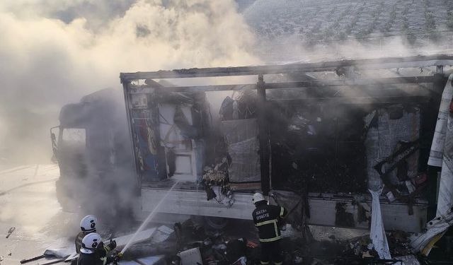 Park Halindeki TIR Alevlere Teslim Oldu