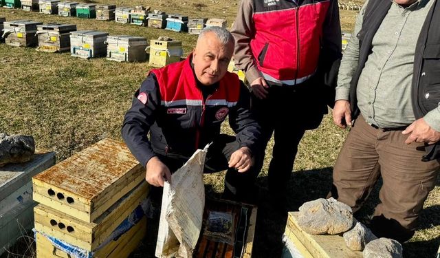 Türkmen Arı Üreticilerinin Kovanlarını İnceledi