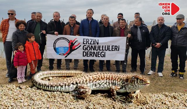 Çevrecilerden ‘İskenderun Kertenkelesi’ için güç birliği…