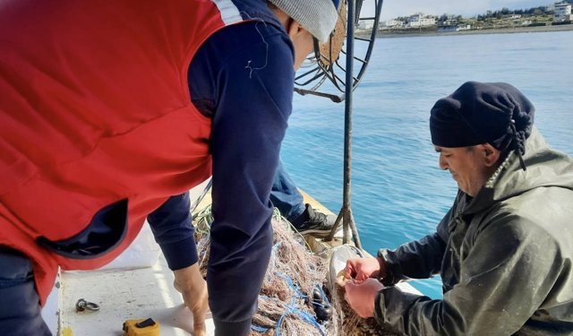 Denizde İstilacı Türler Araştırılıyor