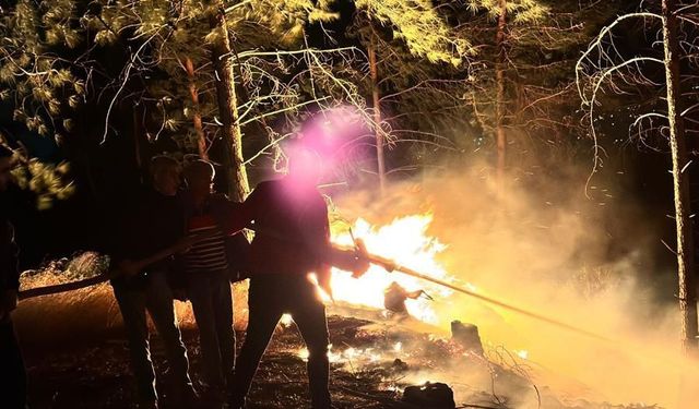 Dörtyol da Orman Yangını