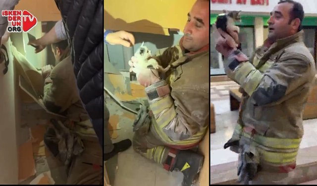 İtfaiye yavru kediler için duvarı parçaladı…