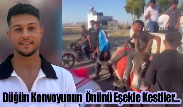Düğün Konvoyunun Önünü Eşekle Kestiler…