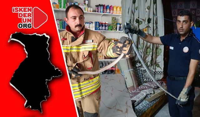 Yılanlar Evlerden Alındı Doğal Ortamına Bırakıldı