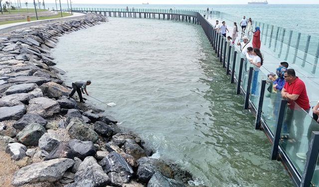 Ağlarla Yakalanan Balıklar Deniz Akvaryumuna Bırakıldı!
