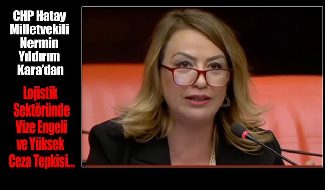Lojistik Sektöründe Vize Engeli ve Yüksek Ceza Tepkisi…