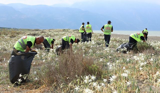 HBB’den 158 Km’lik Sahilde Nadir Türlere Özel İlgi…