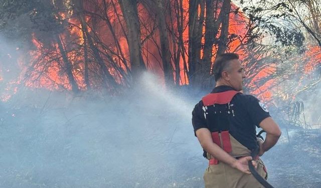 Antakya’da ağaçlık ve otluk alanda yangın