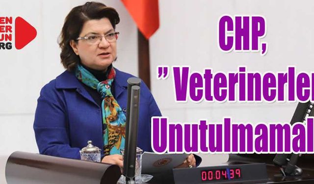 Veteriner Hekimler İçin Kanun Teklifi