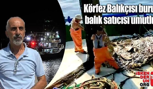 Körfez Balıkçısı buruk, balık satıcısı umutlu!