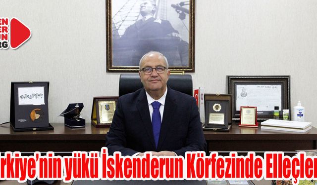 Yüzde 25'i İskenderun'dan