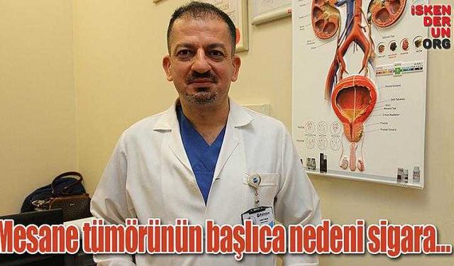 Mesane tümörünün başlıca nedeni sigara…