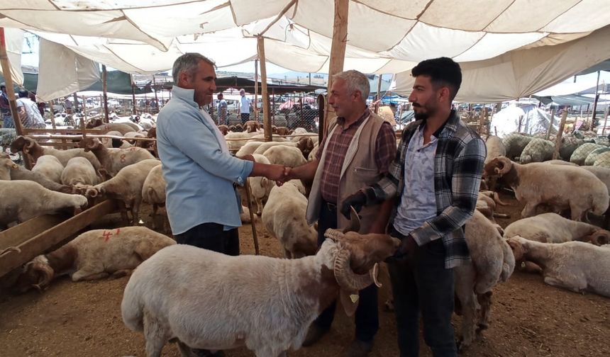 İskenderun’da Kurban Pazarı Kuruldu…