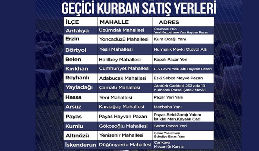 Kurban Satış Yerleri