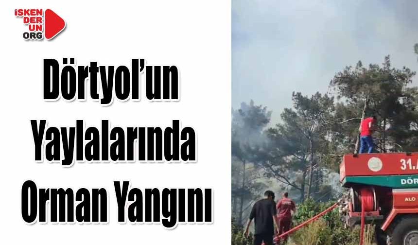 Söndürme Çalışmaları Sürüyor