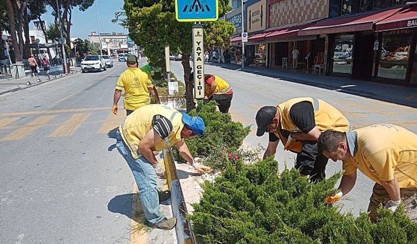 Başkan Çerçioğlu’nun Hizmetleri Kuşadası’nı Doğanın Yeşil Tonları ile Buluşturuyor