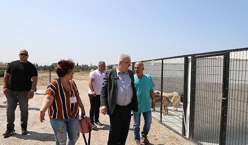 Edremit Belediyesi can dostlara sahip çıkıyor