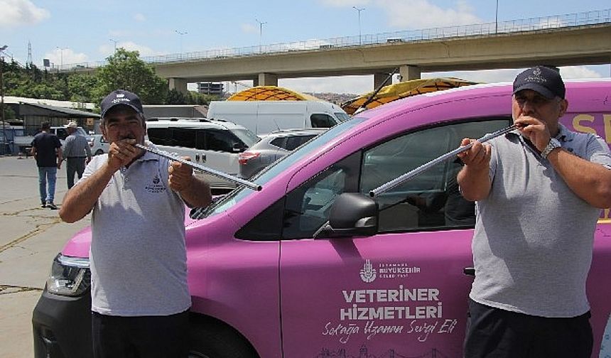 İBB boğa timi görev başında