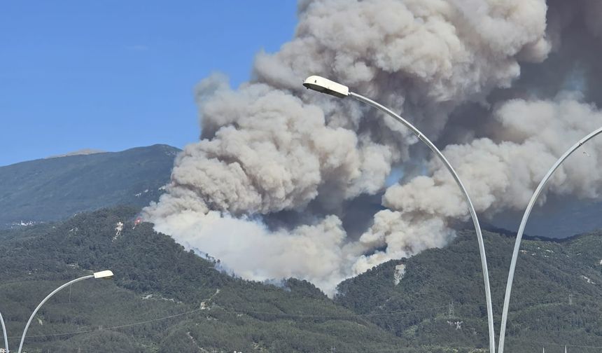 Dörtyol’da Orman Yangını Büyüyor…