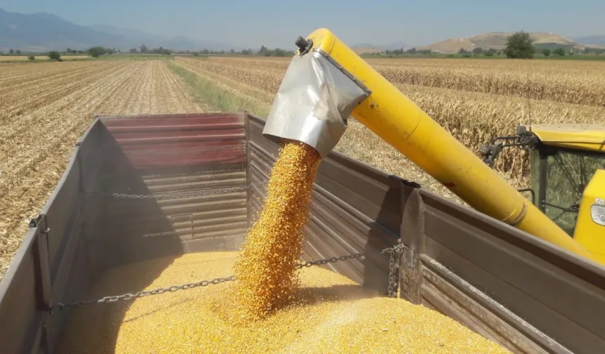 CHP'li Ün: Mısır ithalatını durdurun, çiftçi nefes alsın!