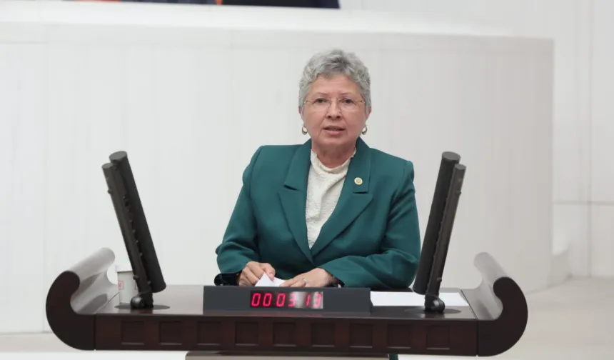 CHP’li Yontar: Zeytini kömüre feda etmek geleceğe ihanettir!