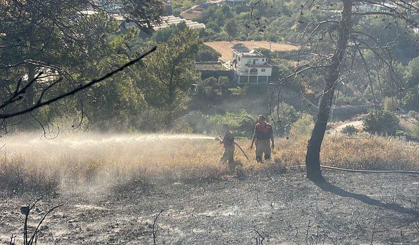 Antakya’da orman yangını kontrol altına alındı