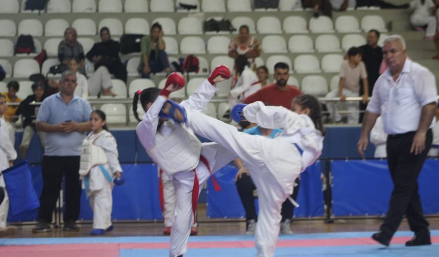 Türkiye İller Arası Karate Şampiyonası İskenderun’da Yapıldı