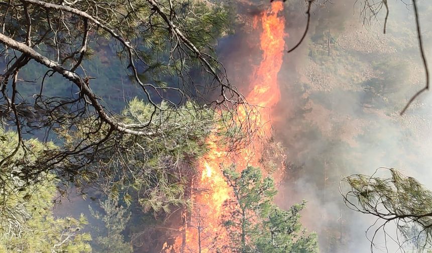Belen Çerçikaya’da Orman Yangını çıktı!