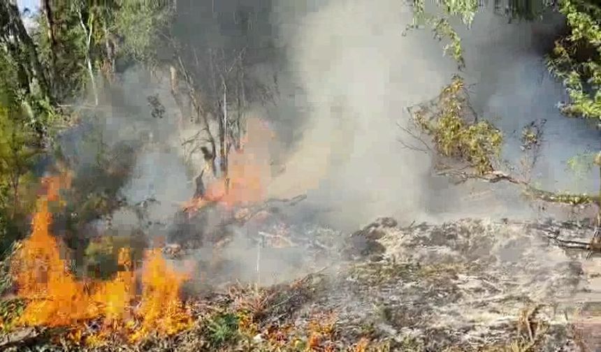 Erzin Yukarıburnaz’daki Yangın Söndürüldü!