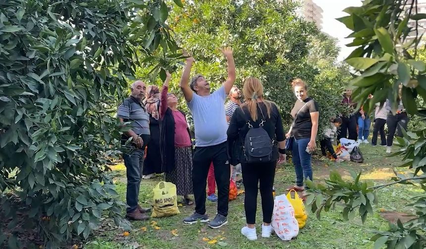 İskenderun'da “File Bizden Hasat Senden” etkinliği…