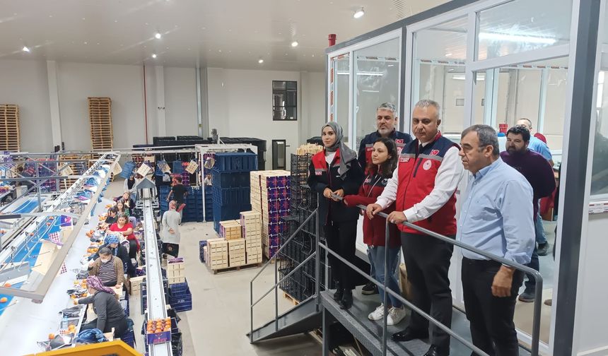 Paketleme Tesisinde İnceleme