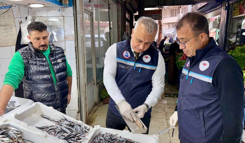 Balıkların Boyunu Ölçtü