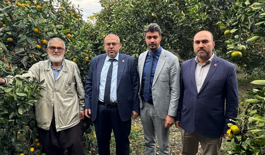 Çalışkan: "Hatay’da Narenciye S.O. S. veriyor!"