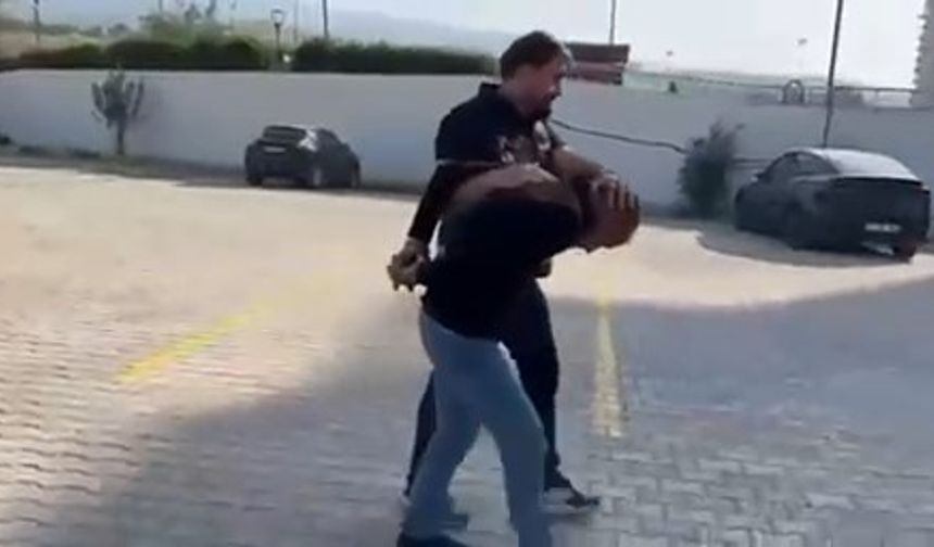 Dolandırıcılıktan Aranan Şahıs Tutuklandı