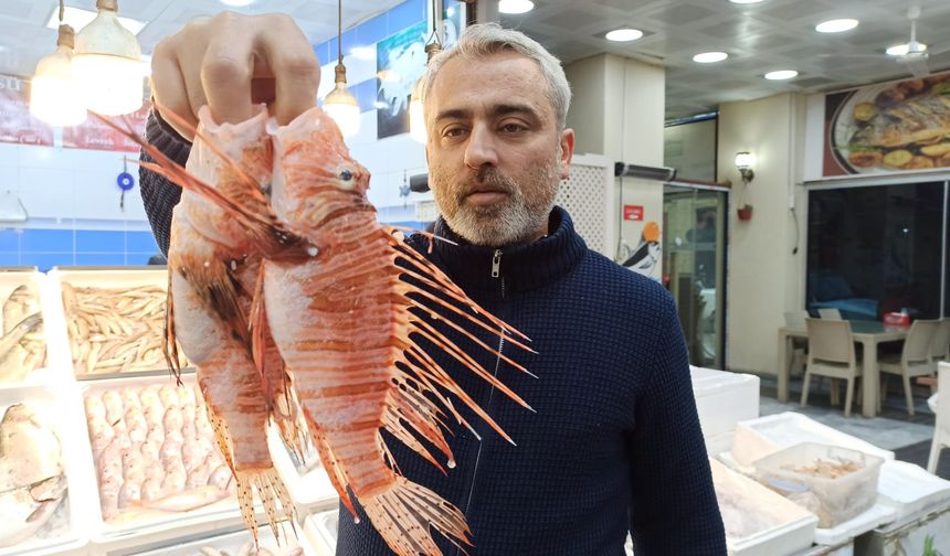 “Zehirli türlerden Aslan balığına da rağbet var”