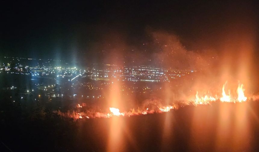 İskenderun’da Orman Örtüsü Yangını Korkuttu