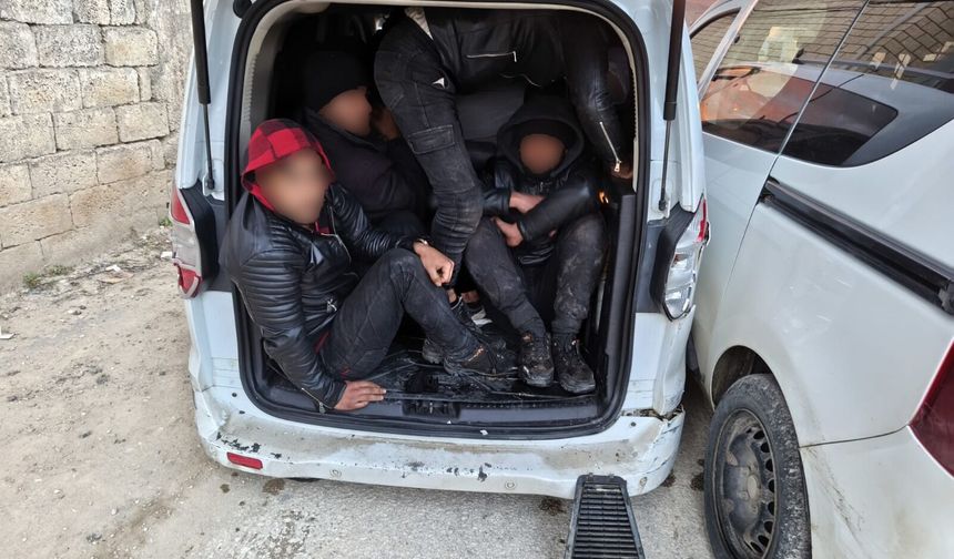 Balık istifinde 23 Düzensiz Göçmen Yakalandı