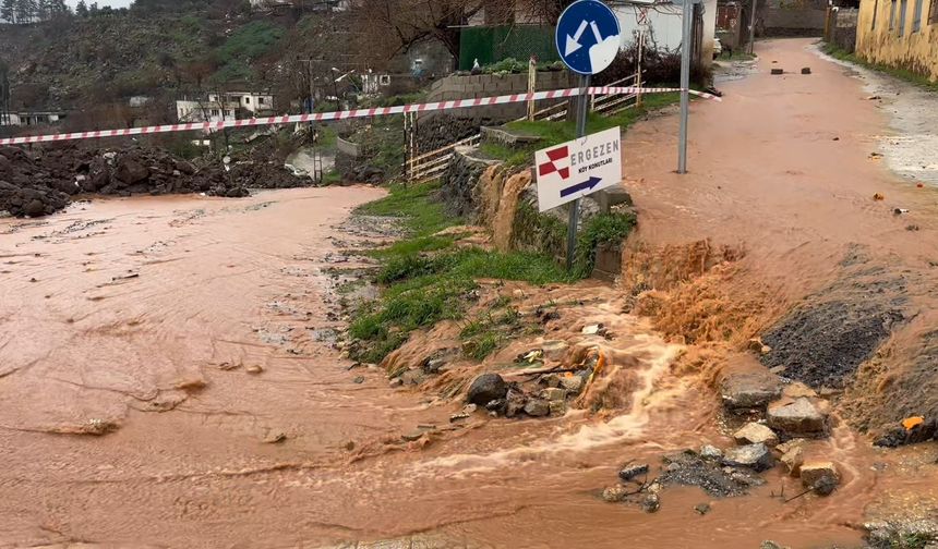 Hassa’da Yağmur Etkisini Göstermeye Başladı