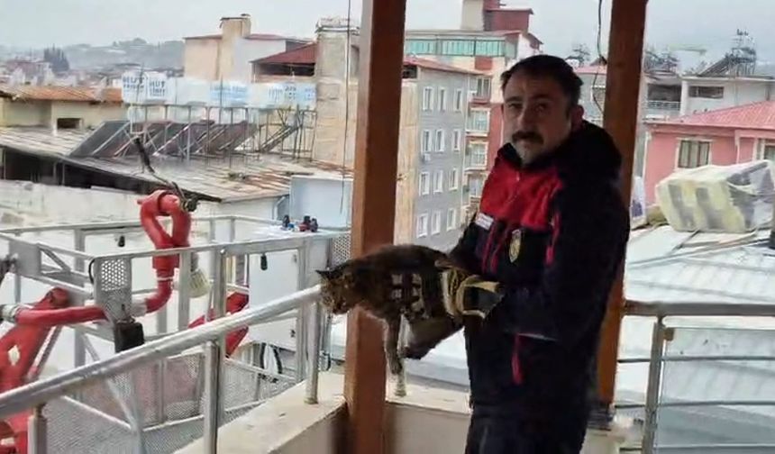 Kedi kurtaran ekibe alkış