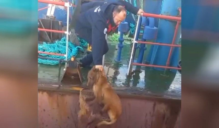 Dörtyol Balıkçı Barınağı’nda Örnek Kurtarma