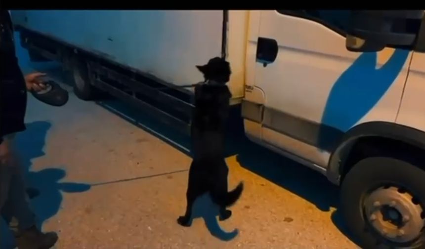 Süpheli Araçtan 11 Kilo Çıktı