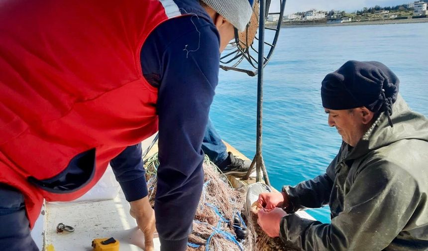 Denizde İstilacı Türler Araştırılıyor